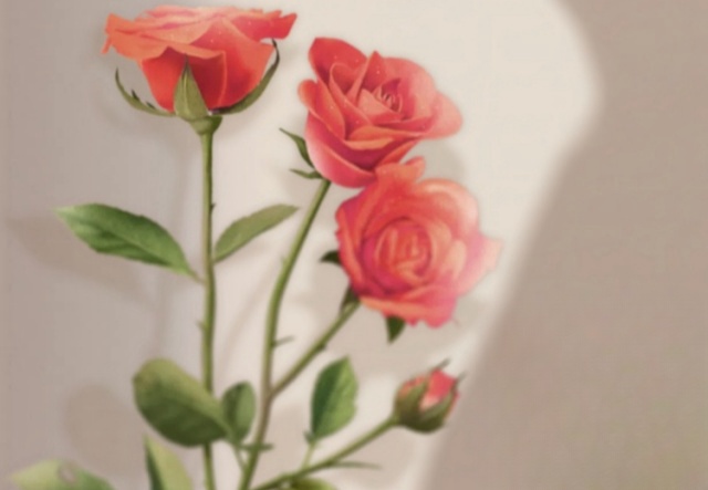 祝天下女神們節(jié)日快樂?。?！